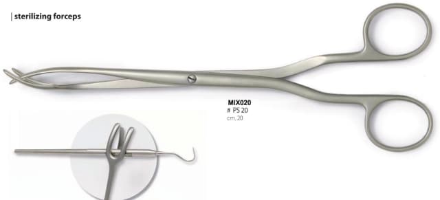 Kelly Haemostatic Forceps, Curved