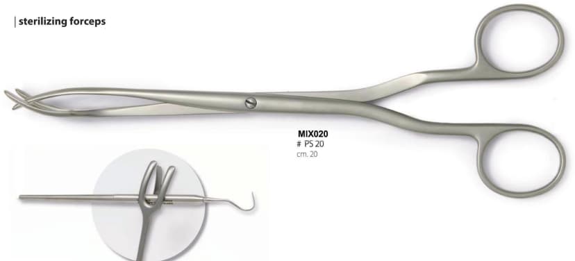 Kelly Haemostatic Forceps, Curved
