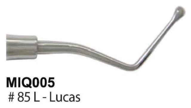 Molt Bone Curette Fig.1