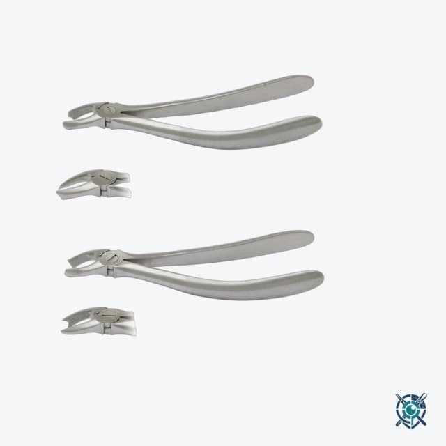Extracting Forceps No.222, Lower Wisdoms