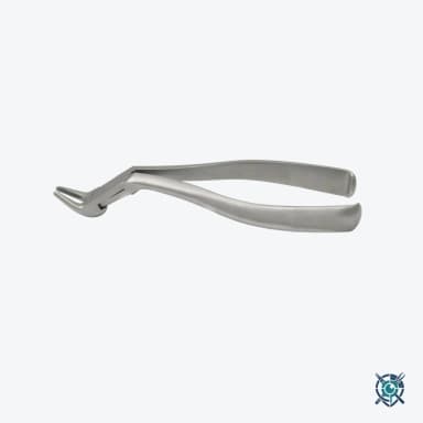 Extracting Forceps No.1 Meissner