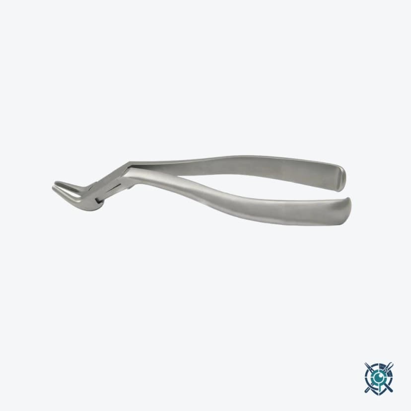 Extracting Forceps No.1 Meissner