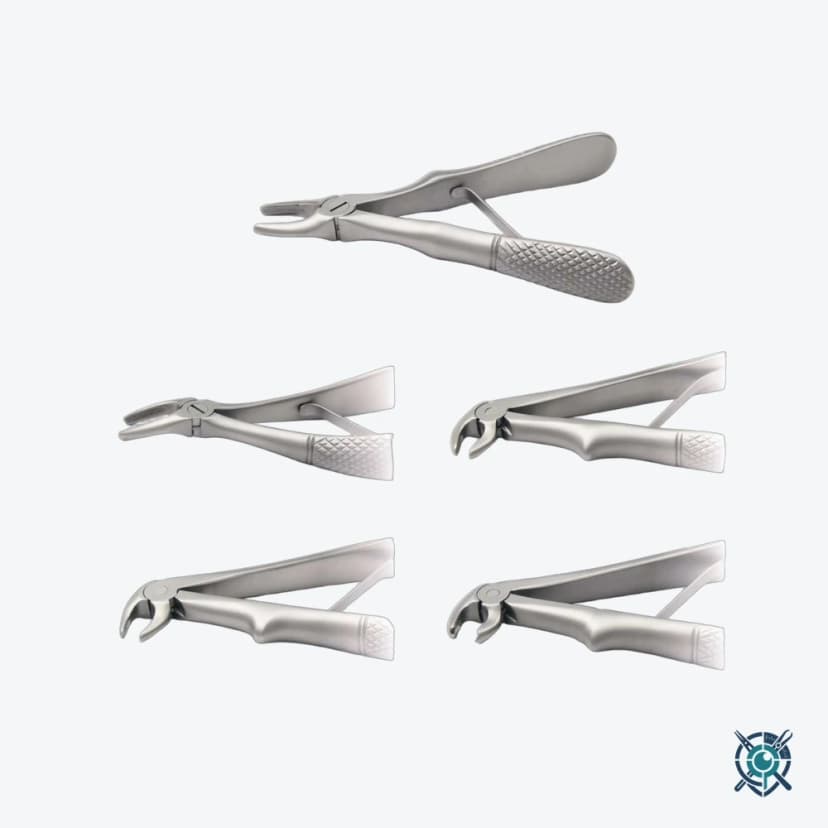 Extracting Forceps No.39, Upper Molars