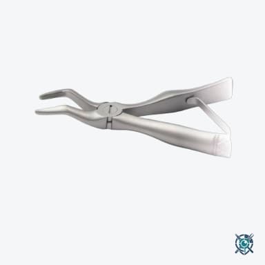 Extracting Forceps No.38, Lower Incisors and Canines