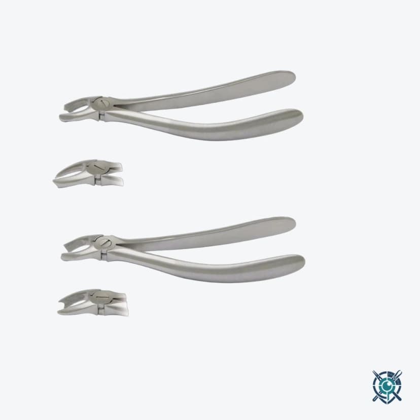 Extracting Forceps No.222, Lower Wisdoms